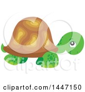Cute Tortoise Turtle