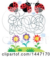 Poster, Art Print Of Maze Of Ladybugs And Flowers