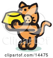 Hungry Orange Cat Holding Up A Yellow Food Dish Waiting To Be Fed