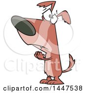 Clipart Of A Cartoon Dog Begging And Pleading Royalty Free Vector Illustration by toonaday