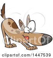 Clipart Of A Cartoon Puppy Stretching In A Downward Dog Yoga Position Royalty Free Vector Illustration by toonaday