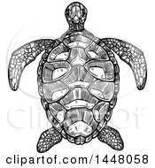 Poster, Art Print Of Black And White Sketched Sea Turtle