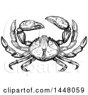 Poster, Art Print Of Black And White Sketched Crab