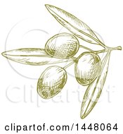 Poster, Art Print Of Green Sketched Olives