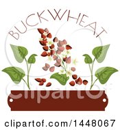 Poster, Art Print Of Buckwheat Text Seed And Leaf Over A Blank Tag Design