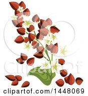 Clipart Of A Buckwheat Seed And Leaf Design Royalty Free Vector Illustration