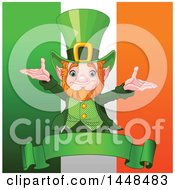 Poster, Art Print Of Welcoming St Patricks Day Leprechaun Over A Banner And Irish Flag