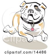 Poster, Art Print Of Running Bulldog