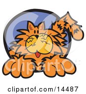Poster, Art Print Of Chubby Happy Orange Cat