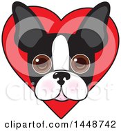Poster, Art Print Of Cute Boston Terrier Face Over A Love Heart