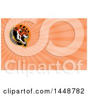 Poster, Art Print Of Growling Tiger Head In A Circle With Slash Marks And Orange Rays Background Or Business Card Design