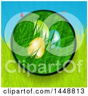 Poster, Art Print Of Circle Frame Of Easter Eggs In Grass With Rays And Butterflies