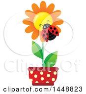 Poster, Art Print Of Ladybug On An Orange Potted Flower