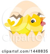 Clipart Of A Hatching Yellow Chick Royalty Free Vector Illustration