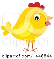 Clipart Of A Yellow Chick Royalty Free Vector Illustration