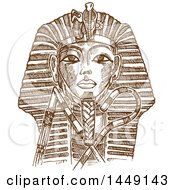 Poster, Art Print Of Brown Sketched Or Engraved Tutankhamon Mask
