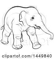 Poster, Art Print Of Black And White Lineart Walking Baby Elephant