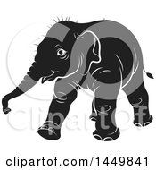 Poster, Art Print Of Black And White Walking Baby Elephant