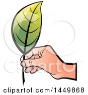 Poster, Art Print Of Hand Holding A Green Leaf