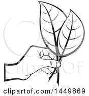 Poster, Art Print Of Black And White Hand Holding Leaves