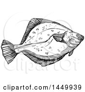 Black And White Sketched Flounder Fish