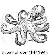 Clipart Graphic Of A Black And White Sketched Octopus Royalty Free Vector Illustration