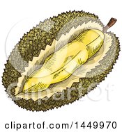Clipart Graphic Of A Sketched Durian Fruit Royalty Free Vector Illustration