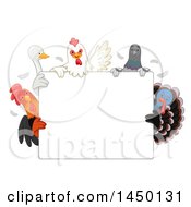 Poster, Art Print Of Blank Sign With Chickens A Duck Pigeon And Turkey Bird