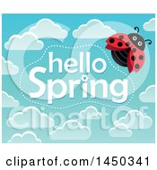 Poster, Art Print Of Hello Spring Text Design With Clouds And A Ladybug