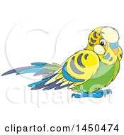 Cartoon Cute Pet Budgie Parakeet Bird