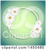 Poster, Art Print Of Round Fame With White Daisy Flowers Over Gradient