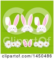 Poster, Art Print Of Trio Of White Easter Bunny Rabbits Tucked In A Paper Slab With Daisy Flowers On Green