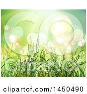Poster, Art Print Of Background Of 3d Wheat Strands Over Green With Flares