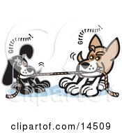 Two Dogs Growling While Playing Tug Of War With A Rope Clipart Illustration by Andy Nortnik