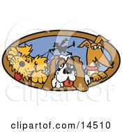 Three Dogs Taking Their Dog Walker For A Walk Clipart Illustration