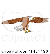 Poster, Art Print Of Sketched Bald Eagle Swooping