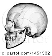 Clipart Graphic Of A Black And White Engraved Human Skull In Profile Royalty Free Vector Illustration