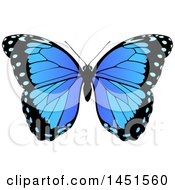 Poster, Art Print Of Beautiful Blue Butterfly