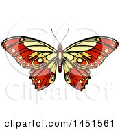 Beautiful Yellow And Red Butterfly Or Moth