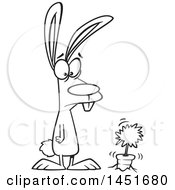 Clipart Graphic Of A Cartoon Black And White Lineart Rabbit Staring At Its First Carrot In A Garden Royalty Free Vector Illustration