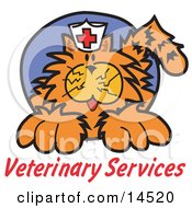 Orange Cat Wearing A White Nursing Hat With A Red Cross On It Above Text Reading Veterinary Services by Andy Nortnik