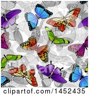 Poster, Art Print Of Background Of Colorful Butterflies Over Grayscale