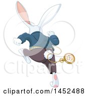 Poster, Art Print Of Rear View Of A Late White Rabbit Of Wonderland Running