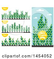 Clipart Of A Set Of Agricultural Crop Plants With New Text Icons Royalty Free Vector Illustration
