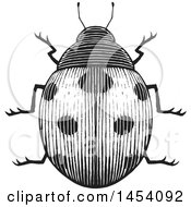 Clipart Of A Black And White Sketched Ladybug Royalty Free Vector Illustration by cidepix