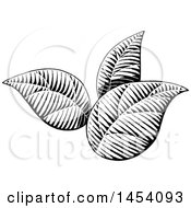 Poster, Art Print Of Black And White Sketched Plant Leaves