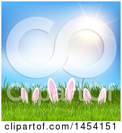 Poster, Art Print Of Sunny Sky Over Grass With Easter Bunny Ears