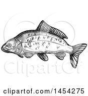 Poster, Art Print Of Black And White Sketched Carp Fish