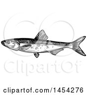 Poster, Art Print Of Black And White Sketched Sprat Fish