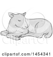 Poster, Art Print Of Sketched Drawing Grayscale Resting Lamb